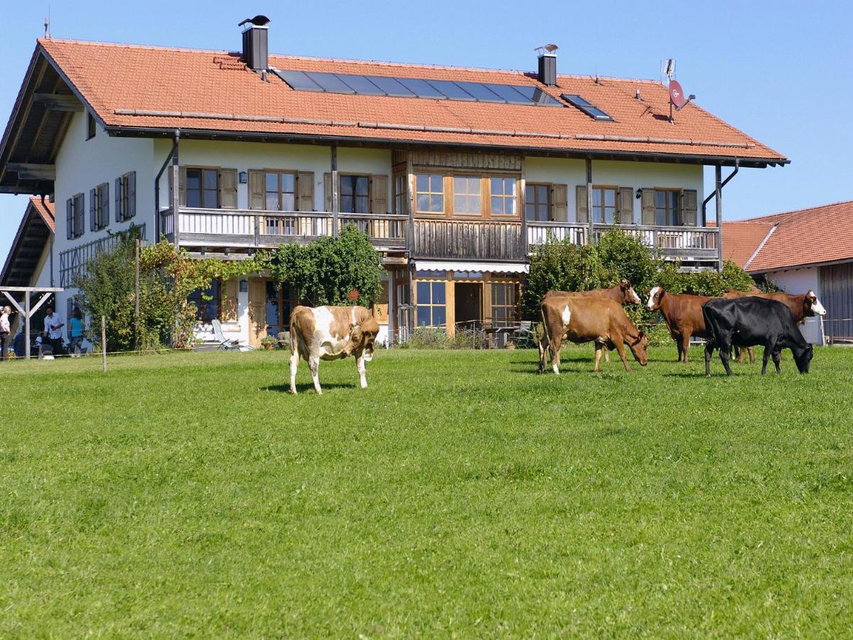 Seeleitenhof Sindelsdorf Dış mekan fotoğraf